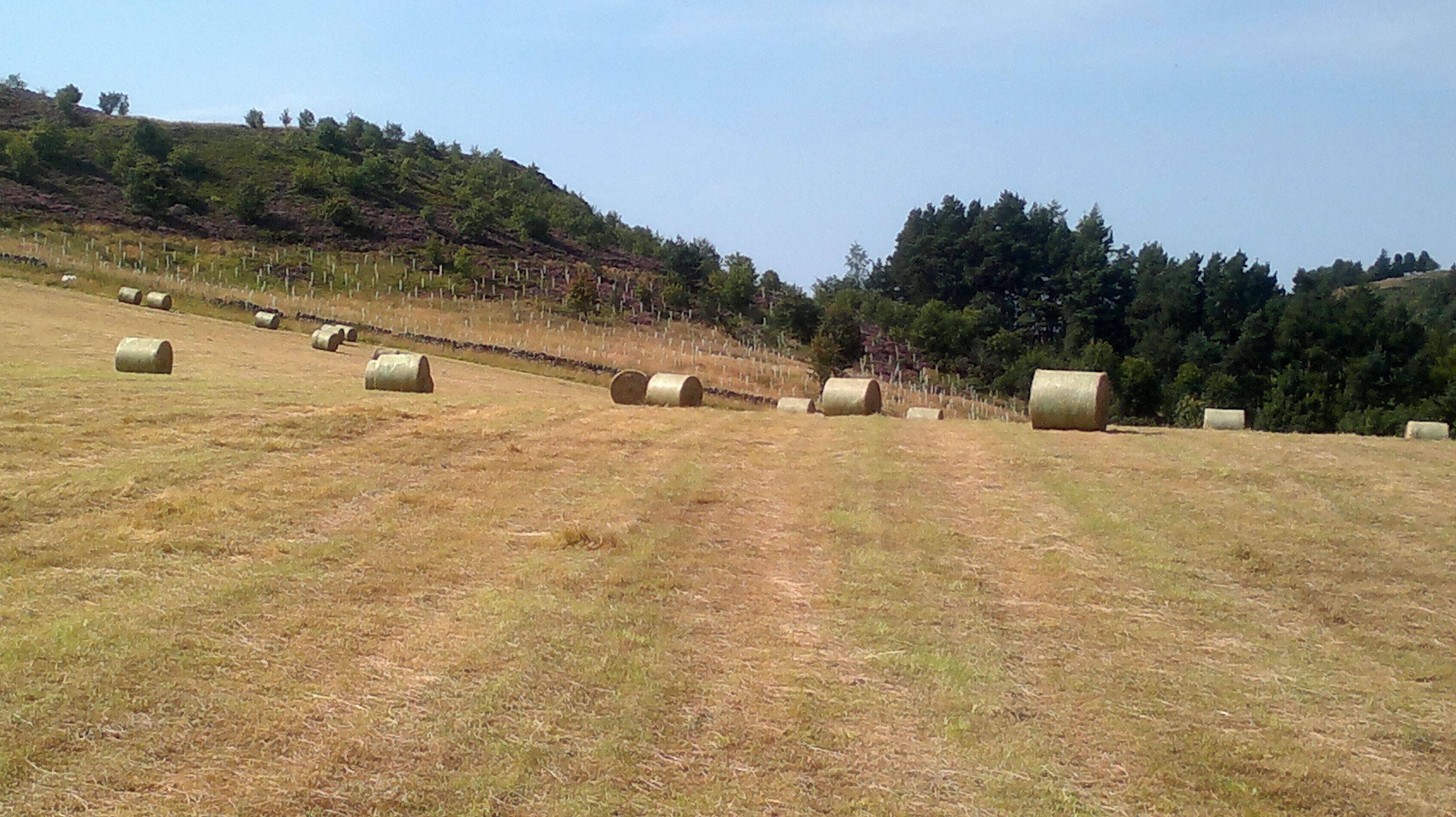 Hay Bales 2